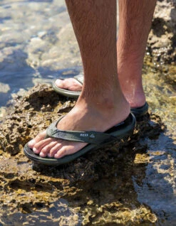 REEF SANDALS OASIS BLACK -Surf Shop reef infradito oasis black 7