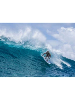 TORQ TET 8'0" LONG WHITE + PINLINE -Surf Shop torq tet 8 0 longboard white pinline 6