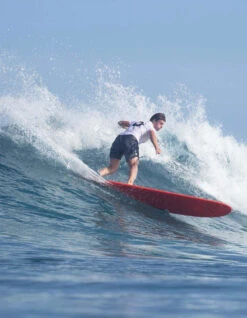 TORQ 9'6" TET LONGBOARD CLASSIC -Surf Shop torq tet longboard classic 8 0 9 6 1